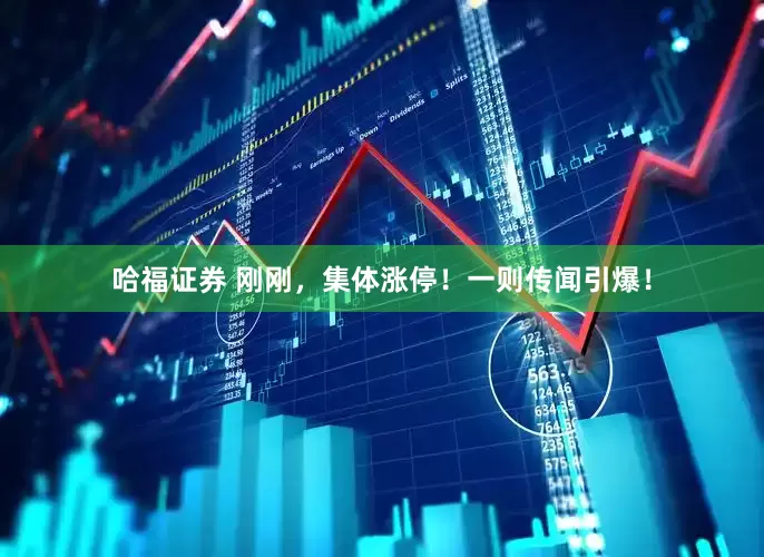哈福证券 刚刚，集体涨停！一则传闻引爆！