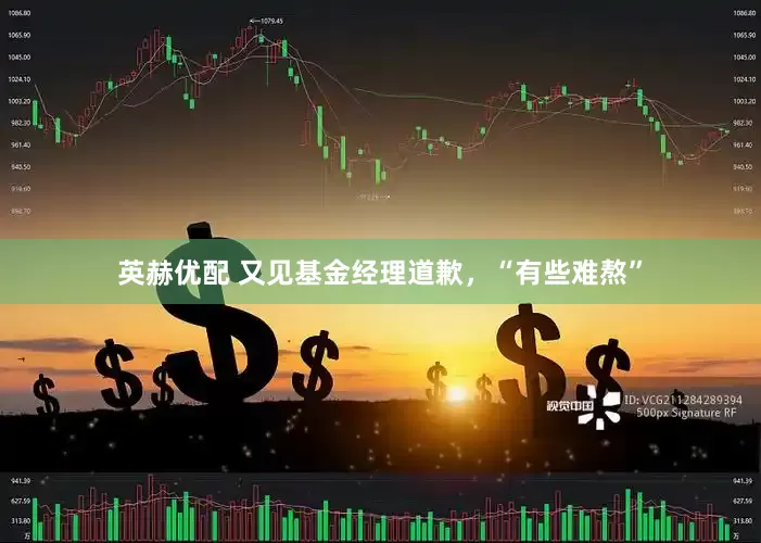 英赫优配 又见基金经理道歉，“有些难熬”
