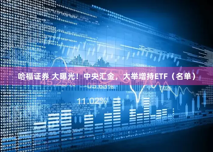 哈福证券 大曝光！中央汇金，大举增持ETF（名单）